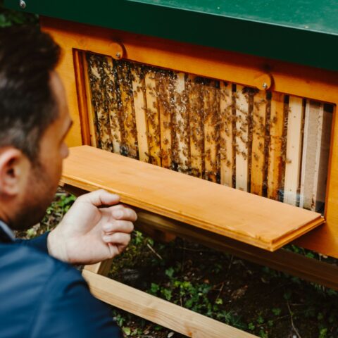 Imker Kurs Heimstaden Mieterin