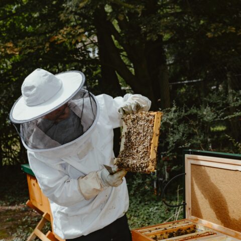 Heimstaden Germany Imkerkurs