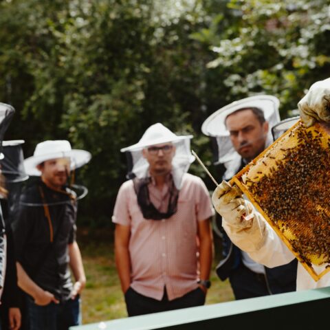 Heimstaden Germany Imkerkurs