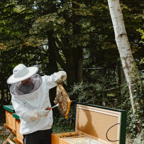 Heimstaden Germany Imkerkurs Bienenstock