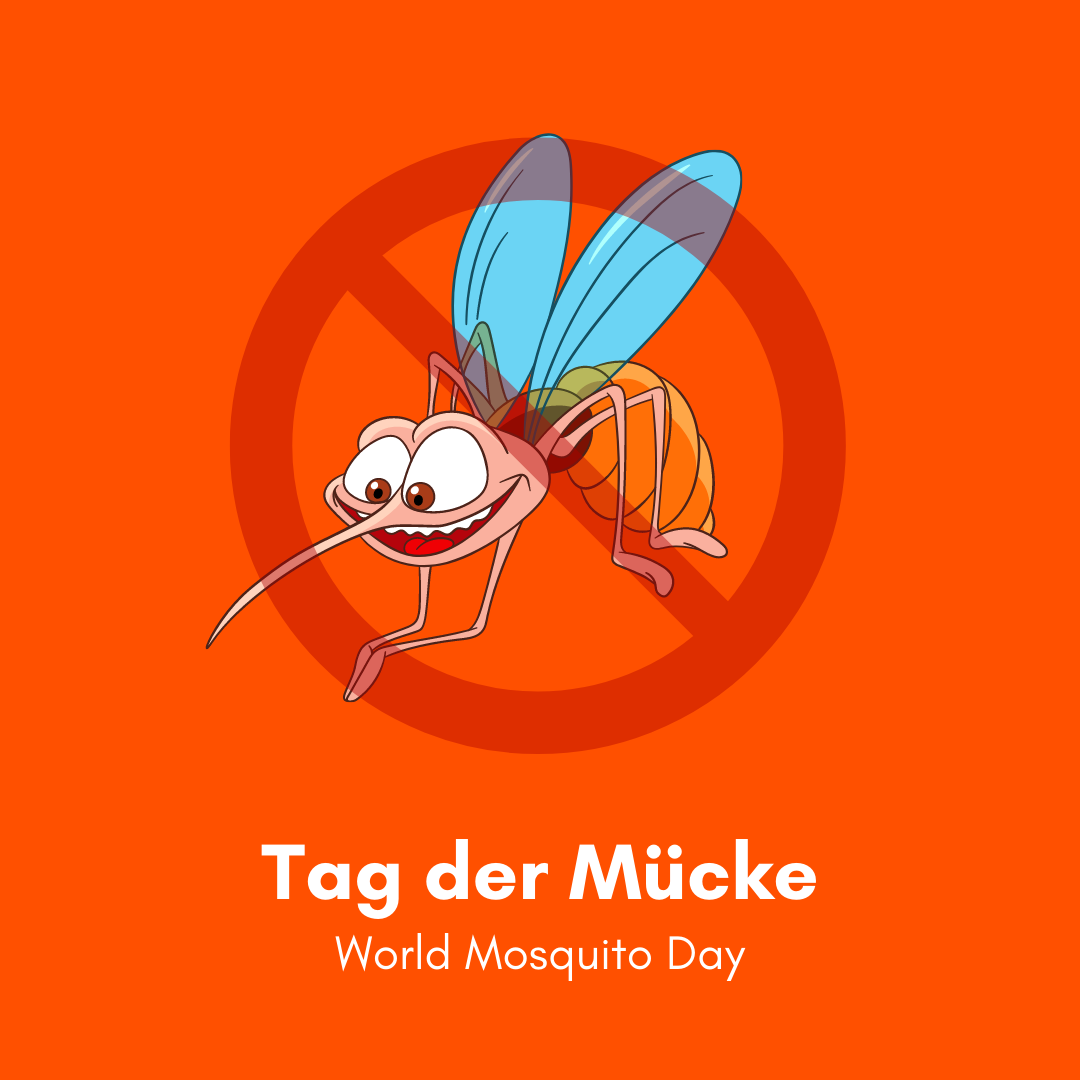 Heimstaden Mosquito Day