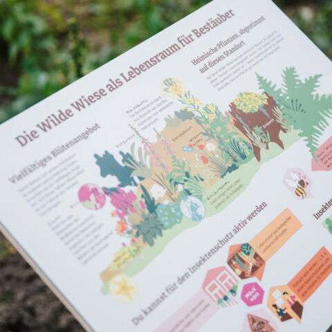 Gartenfest im Päwesiner Weg