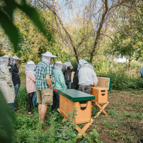 Gartenfest im Päwesiner Weg