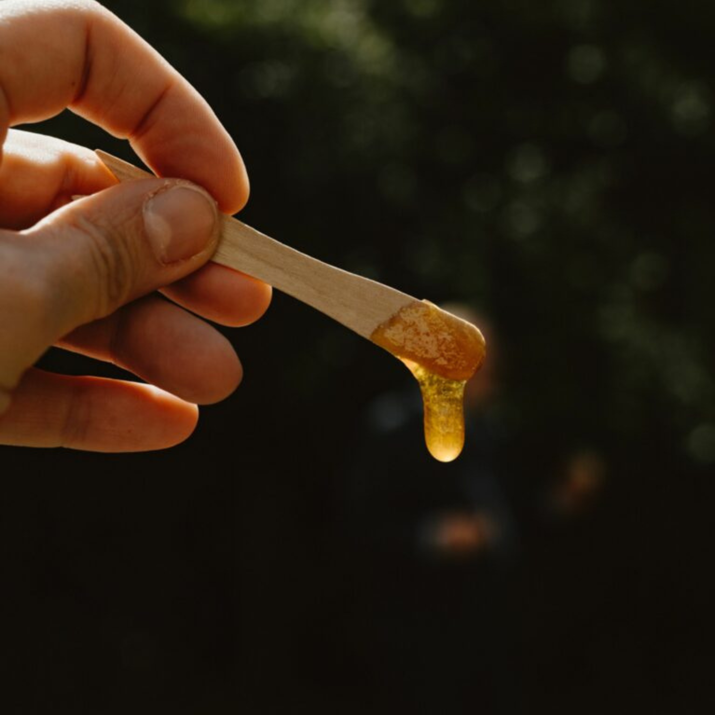 Bienen & Imker-Kurs_Foto_Melina-Moersdorf_02