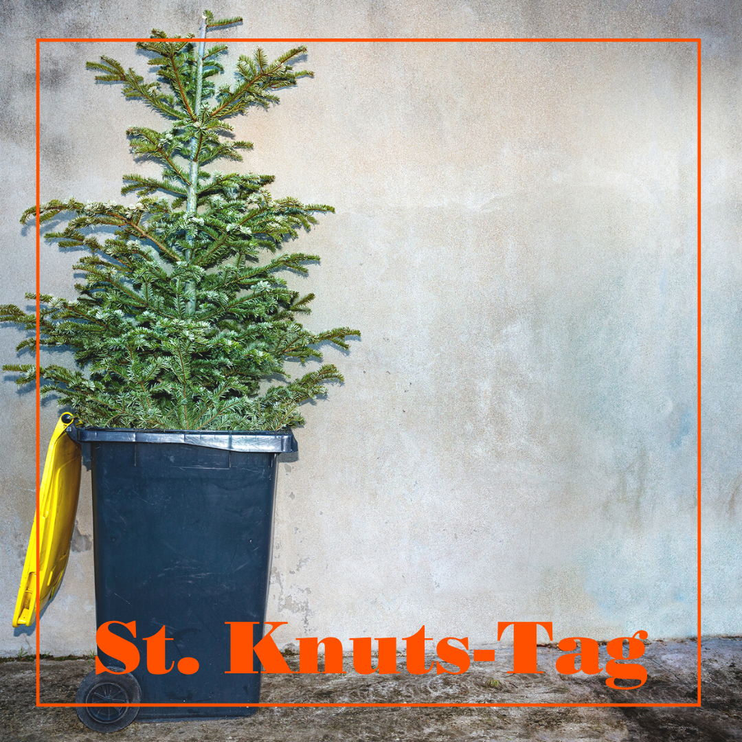 St. Knuts-Tag - Weihnachtsbaum raus_1080x1080_01