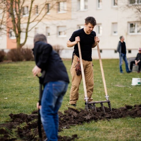 Mieter:innen-Feste in Halle 2023