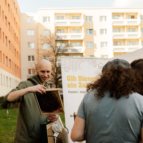 Mieter:innen-Feste in Halle 2023