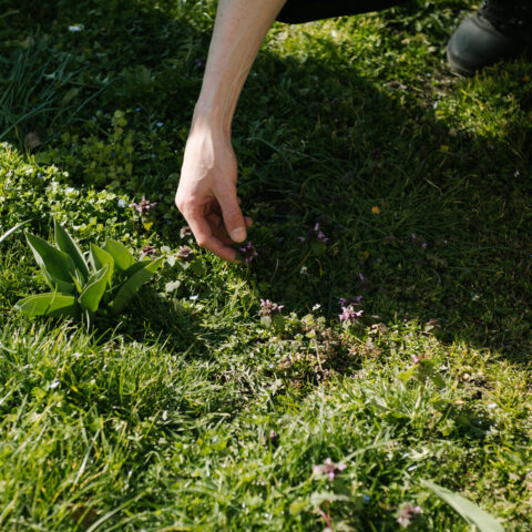 Mieter:innen-Feste in Halle 2023