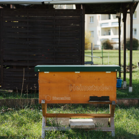 Mieter:innen-Feste in Halle 2023