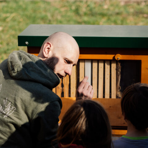 Mieter:innen-Feste in Halle 2023