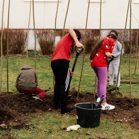 Mieter:innen-Feste in Halle 2023