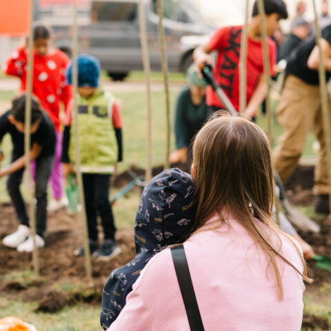 Mieter:innen-Feste in Halle 2023
