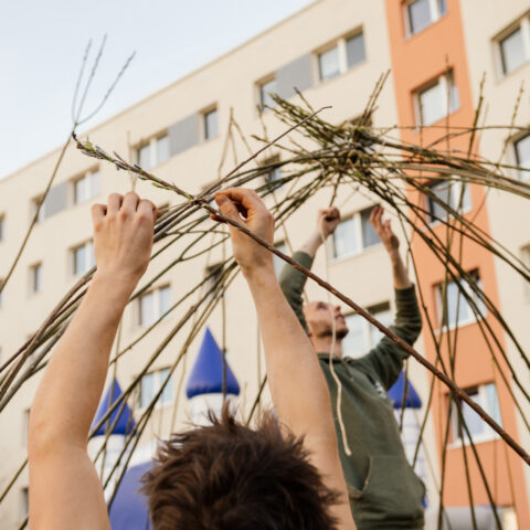 Mieter:innen-Feste in Halle 2023