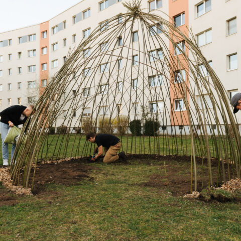 Mieter:innen-Feste in Halle 2023