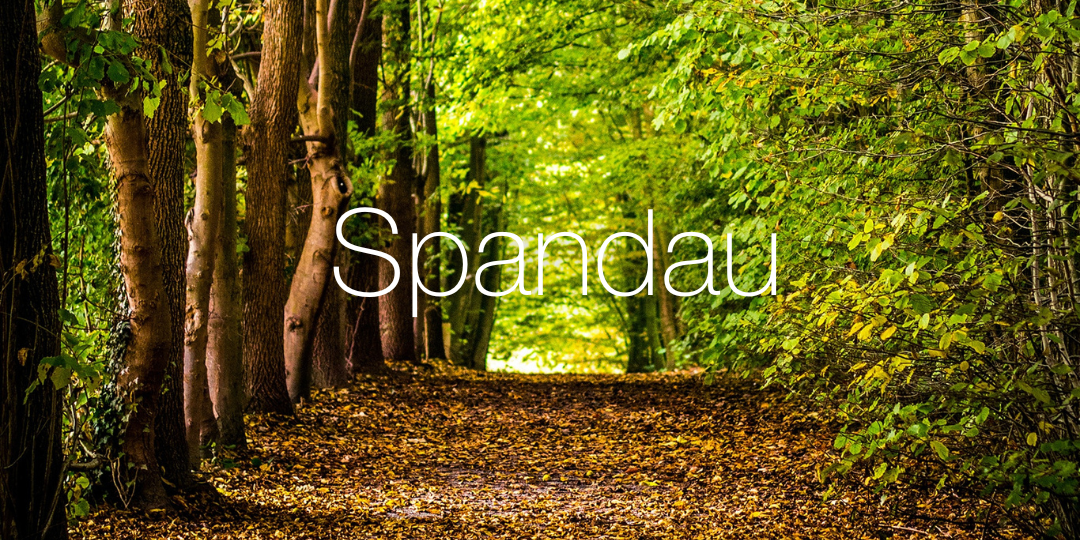 Laufen im Spandauer Forst