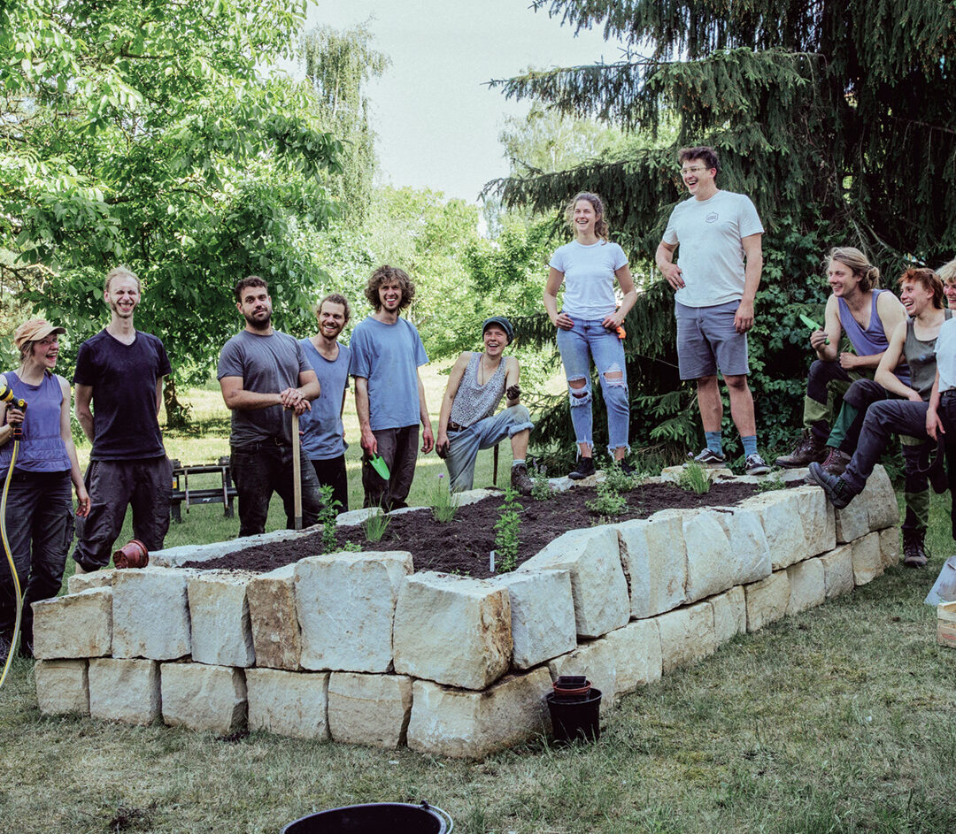 Wilde Wiese - Urban Gardening