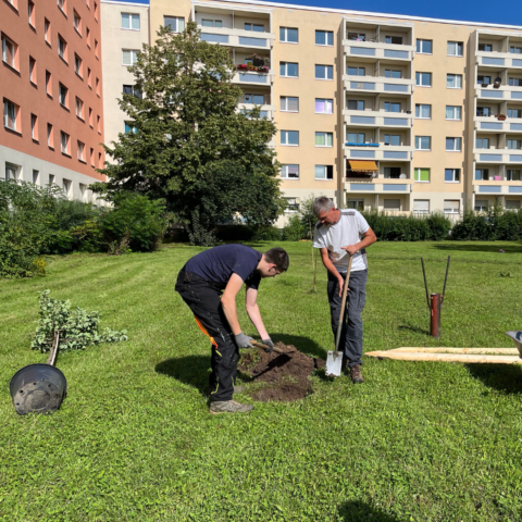Mieter:innen-Feste in Halle 2023