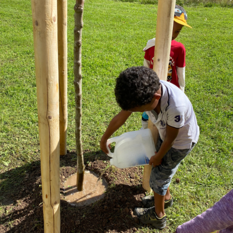 Mieter:innen-Feste in Halle 2023