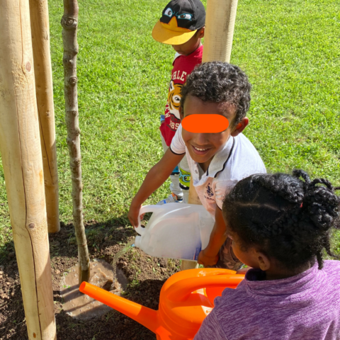 Mieter:innen-Feste in Halle 2023