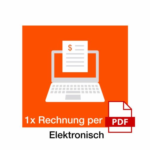 Invoice Computer Icon (3)