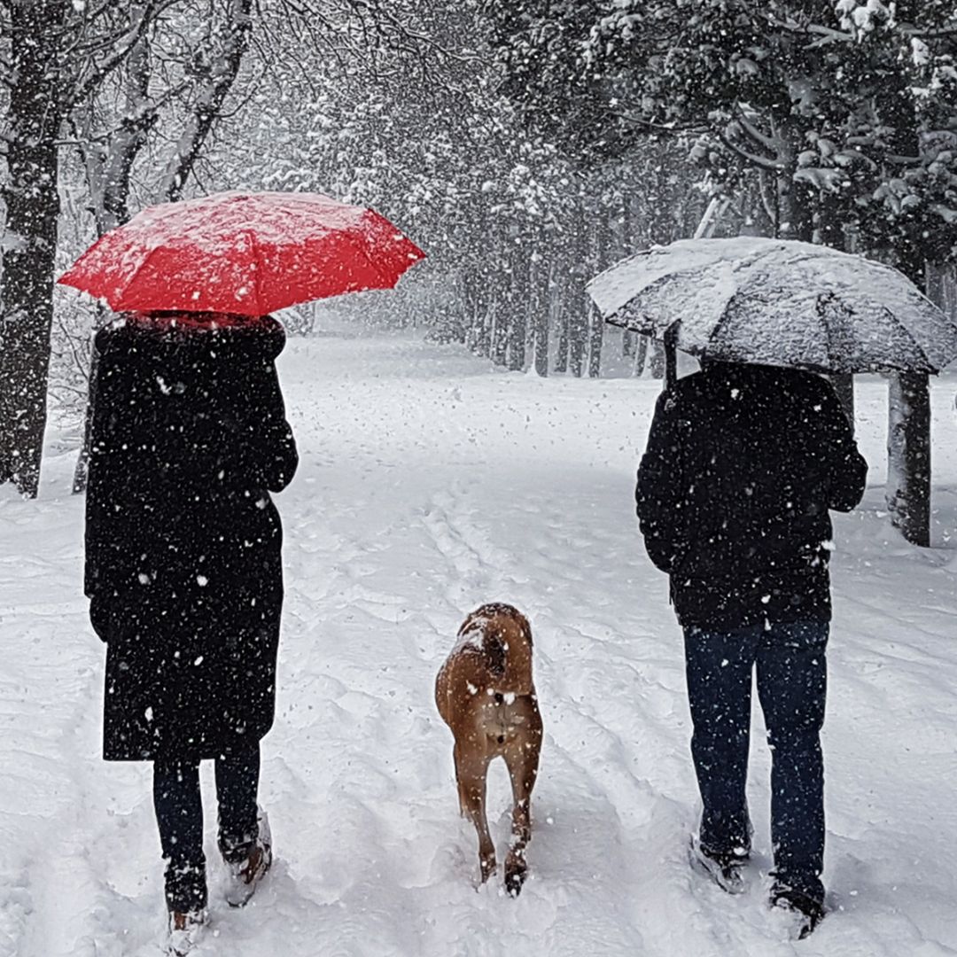Heimstaden Schritte Challenge