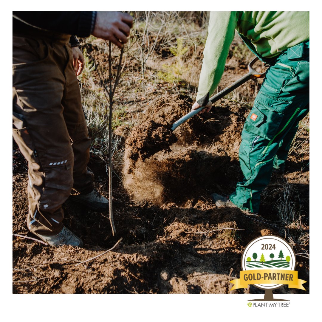 plantmytree-goldpartner